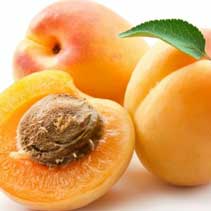 Apricot