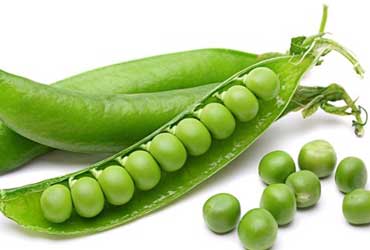 Green Peas