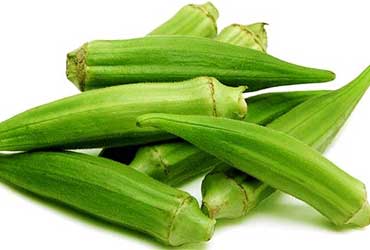 Okra